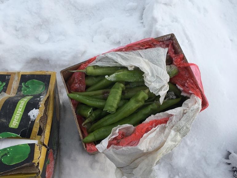 Зеленый луг захламлен мусором из овощей и фруктов