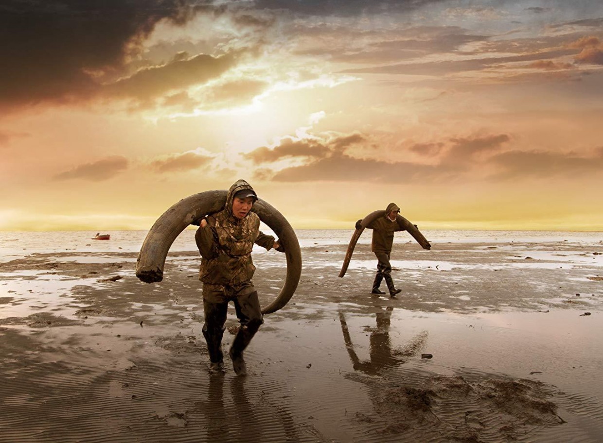 В Якутии сборщиков мамонтовых бивней обяжут отчитываться