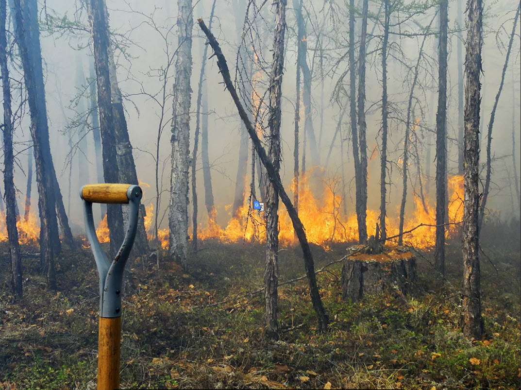 Глава Минприроды считает, что в Якутии занижают данные о лесных пожарах. Он обратился в Генеральную прокуратуру РФ