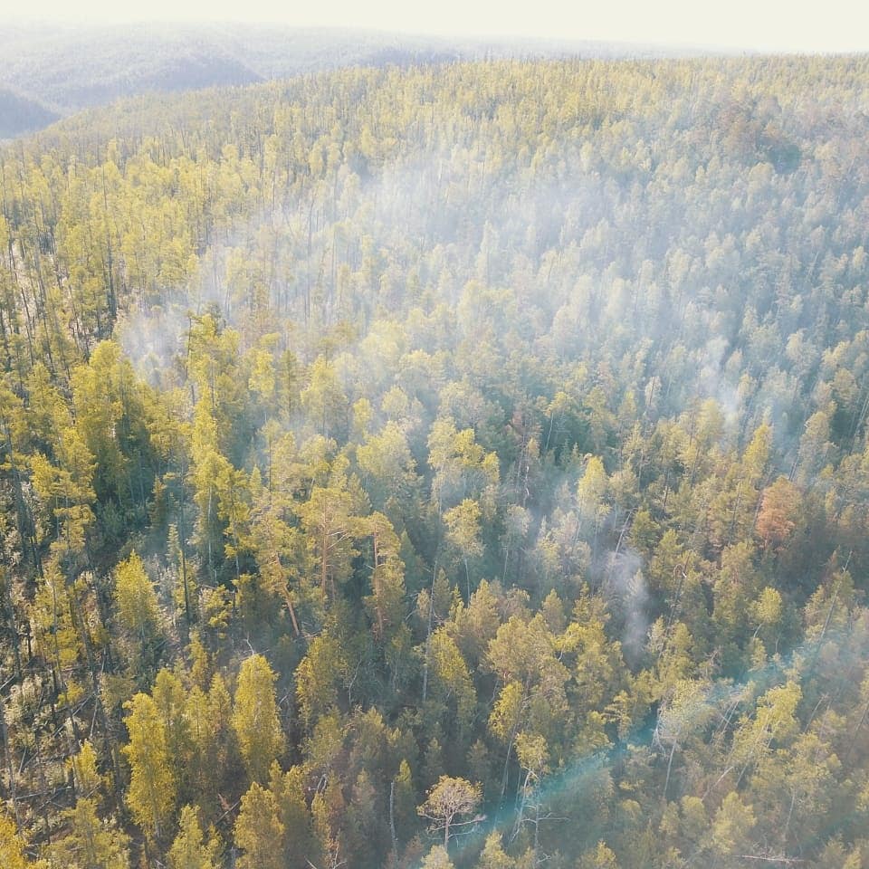 Дмитрий Садовников поручил главам районов своевременно реагировать на лесные пожары