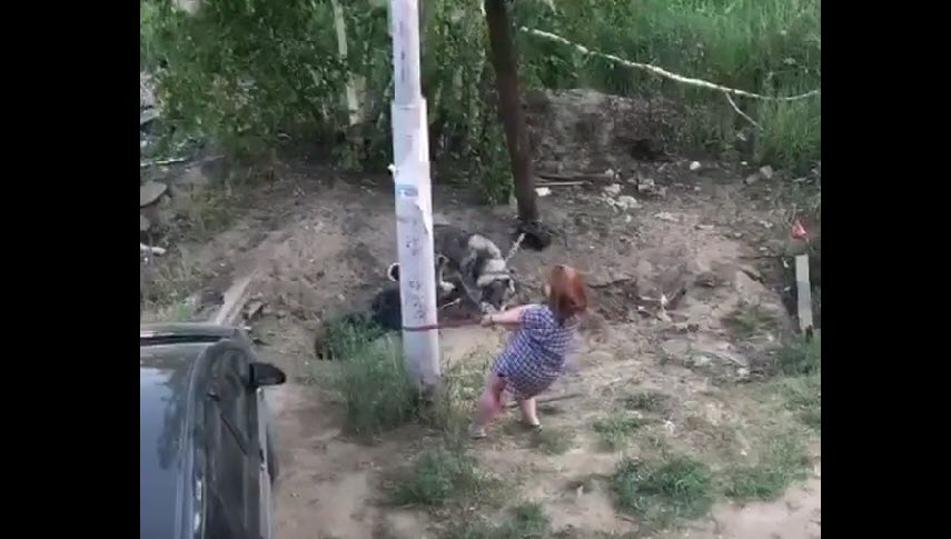 МВД Якутии начало проверку из-за видео, на котором женщина пытается задушить собаку