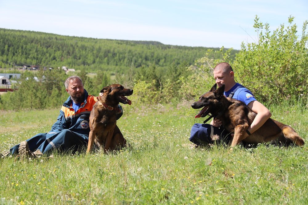 "В Синске Алый сразу взял след девочек", - как четвероногие помощники ищут и спасают якутян