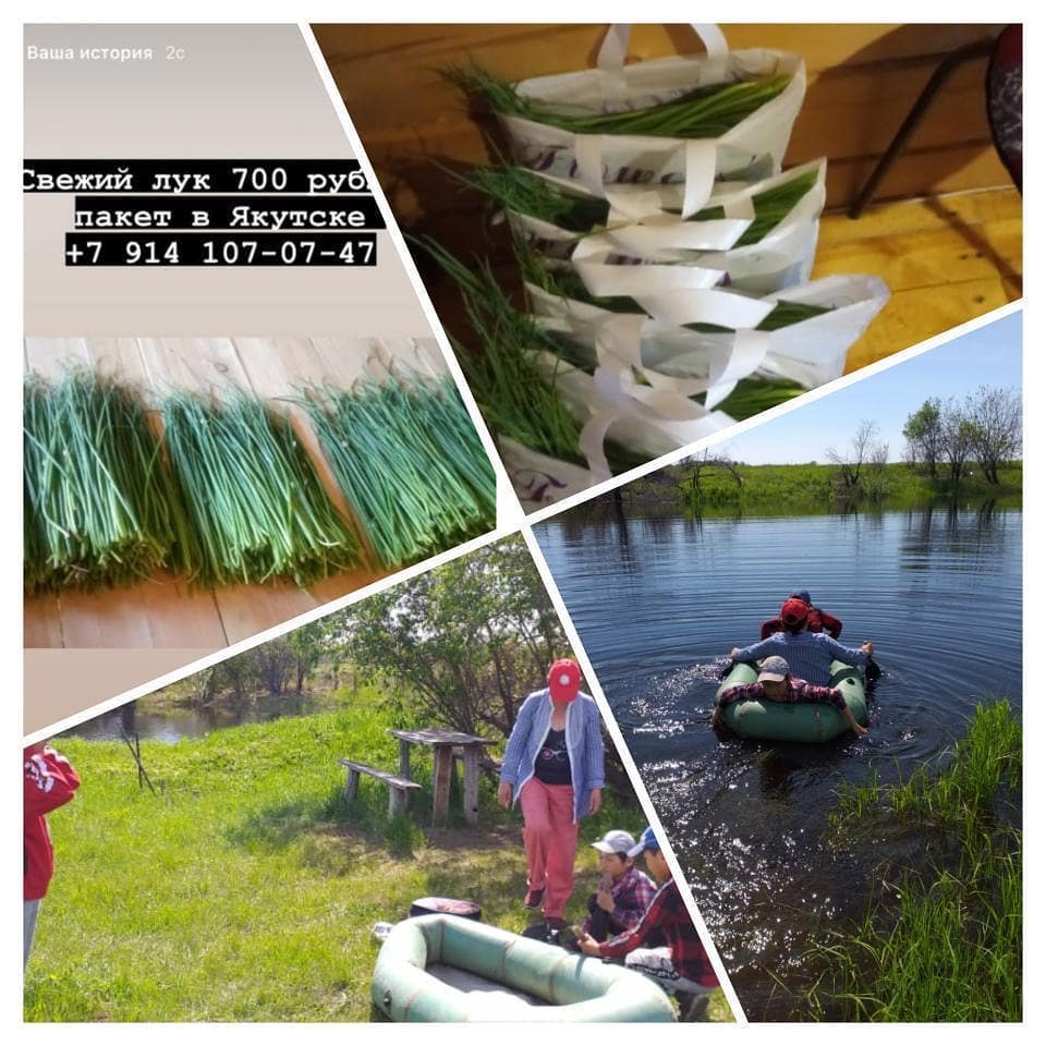 "Поступило очень много заказов", - якутянка с детьми собирает и продает дикий лук