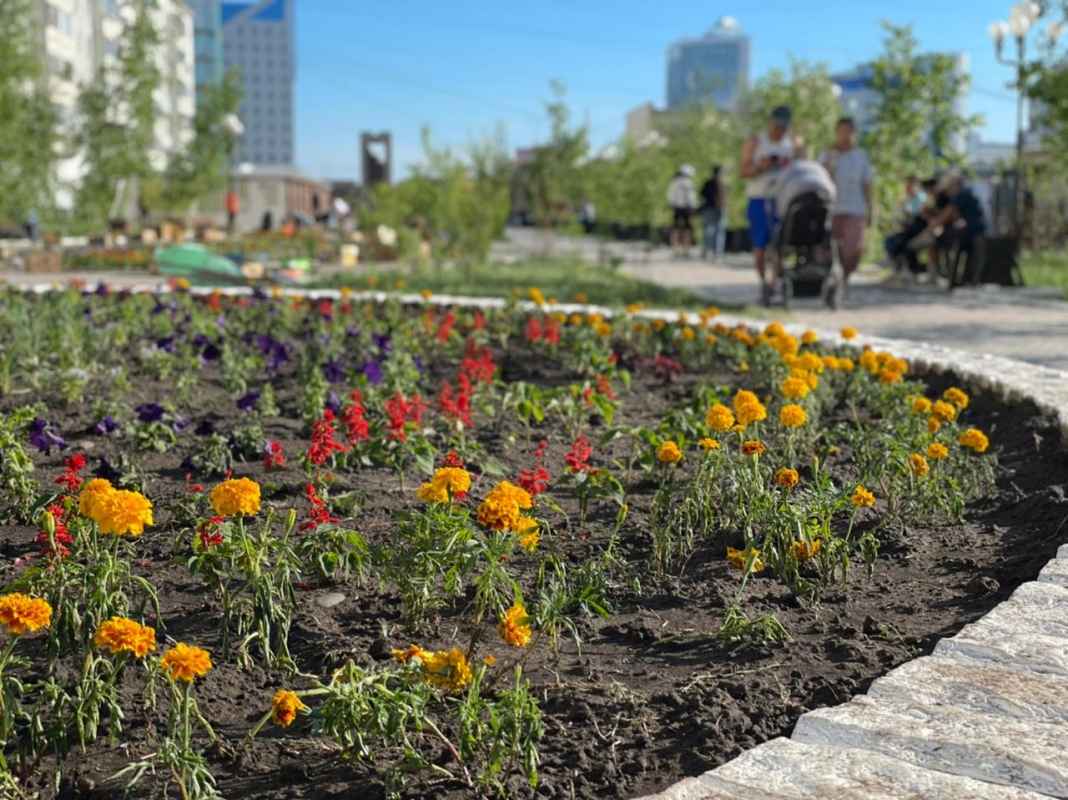 Зеленые насаждения на улицах Якутска впервые получат паспорта