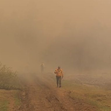 "Пожар в Нюрбинском районе возник из-за неосторожного обращения с огнем"