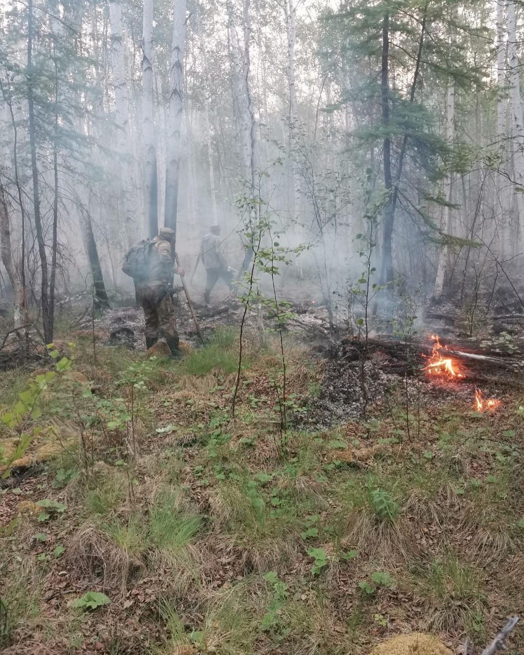 Авиалесоохрана: Основная причина пожаров в Якутии – грозы. Человеческий фактор не доминирует