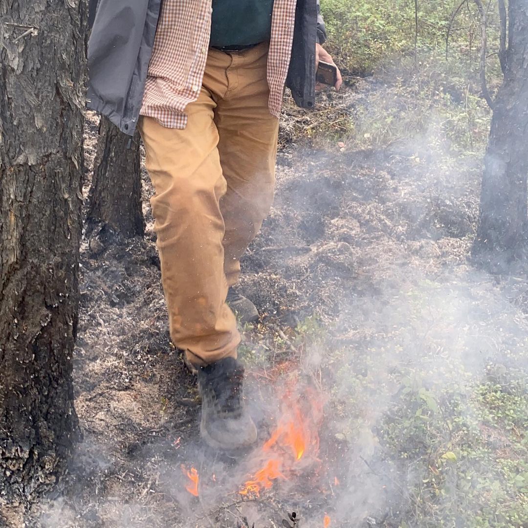 Замминистра инноваций Якутии обнаружил и потушил возгорание в лесу