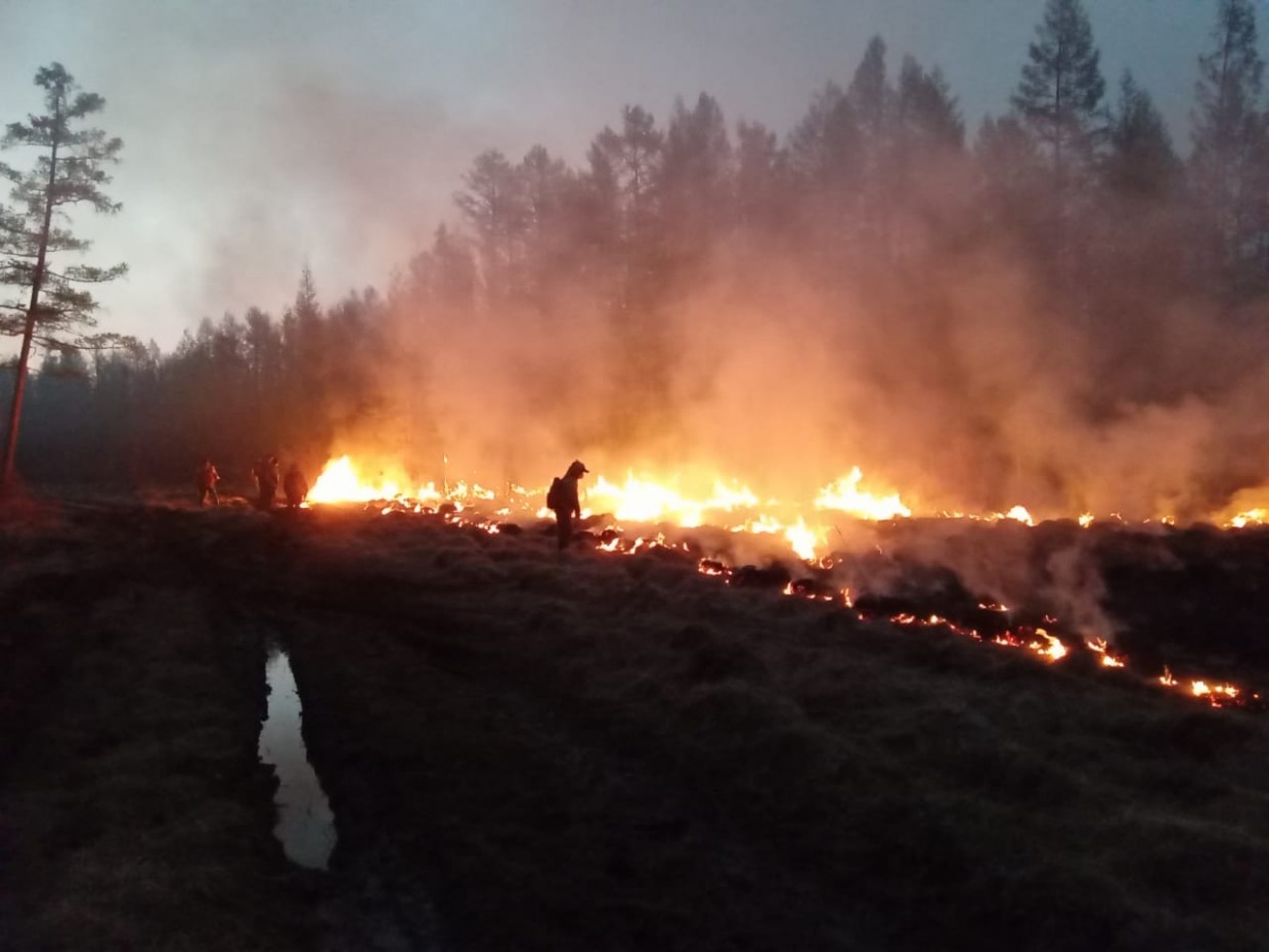 Лесные пожары в Якутии: почему горят леса, и есть ли деньги у муниципалитетов на их тушение
