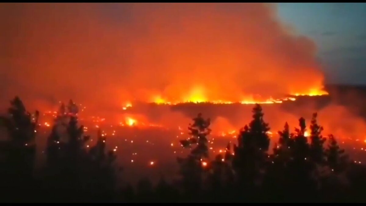 Эксперт о медийной стороне борьбы с лесными пожарами: власти не умеют управлять кризисом