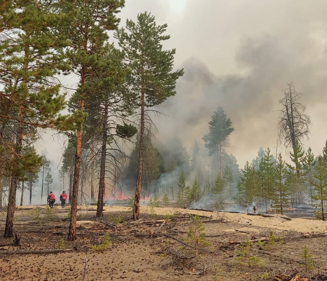 В Якутии действует 181 лесной пожар