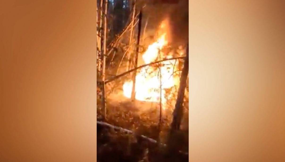 Противопожарная служба Якутии ведет проверку по поводу поджога в лесу Хангаласского улуса