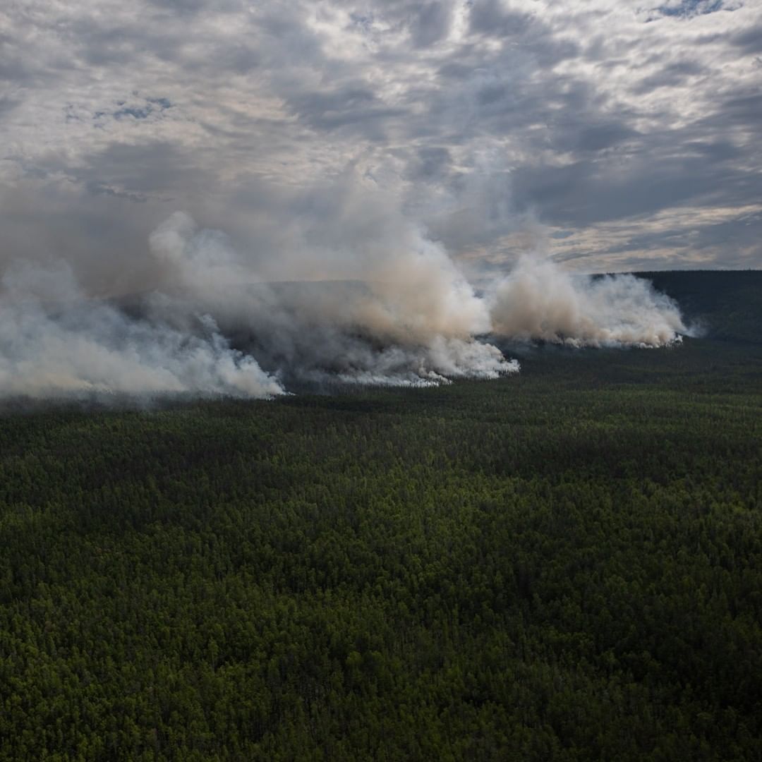 Участники сводного отряда Гринпис рассказали, как тушили пожары в Якутии