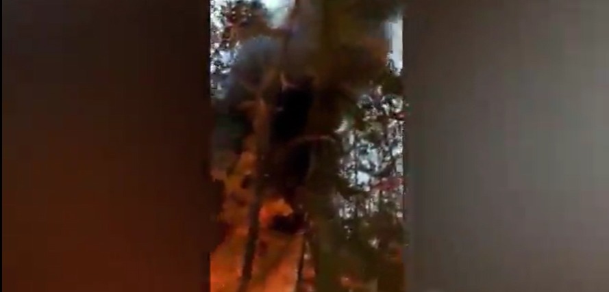 МВД Якутии: дело о горящей покрышке в лесу Хангаласского улуса направлено в МЧС