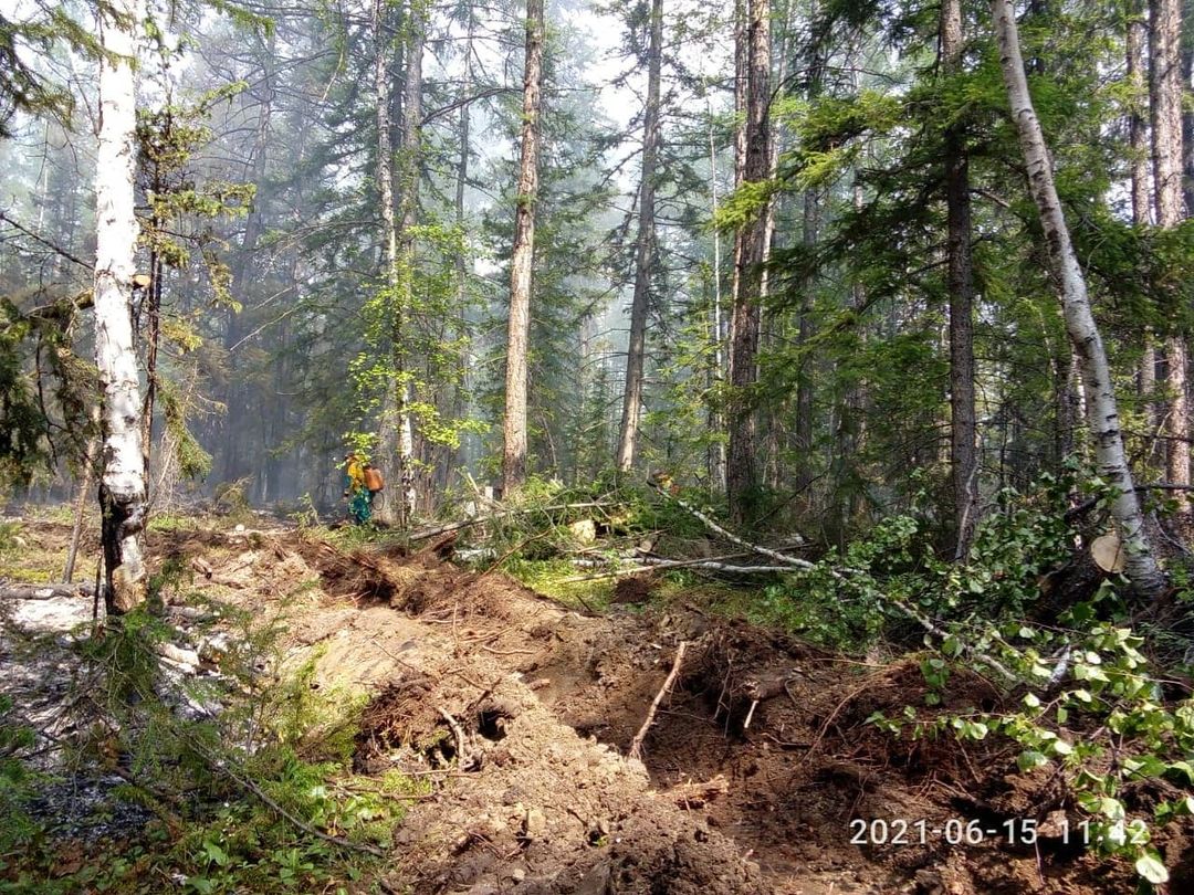 В селе Горного улуса возникла опасная ситуация в связи с верховым лесным пожаром