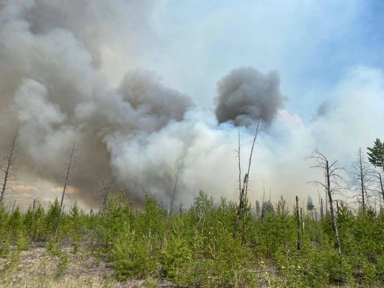 Члены правительства работают в Горном районе, где наблюдается сложная ситуация с лесными пожарами