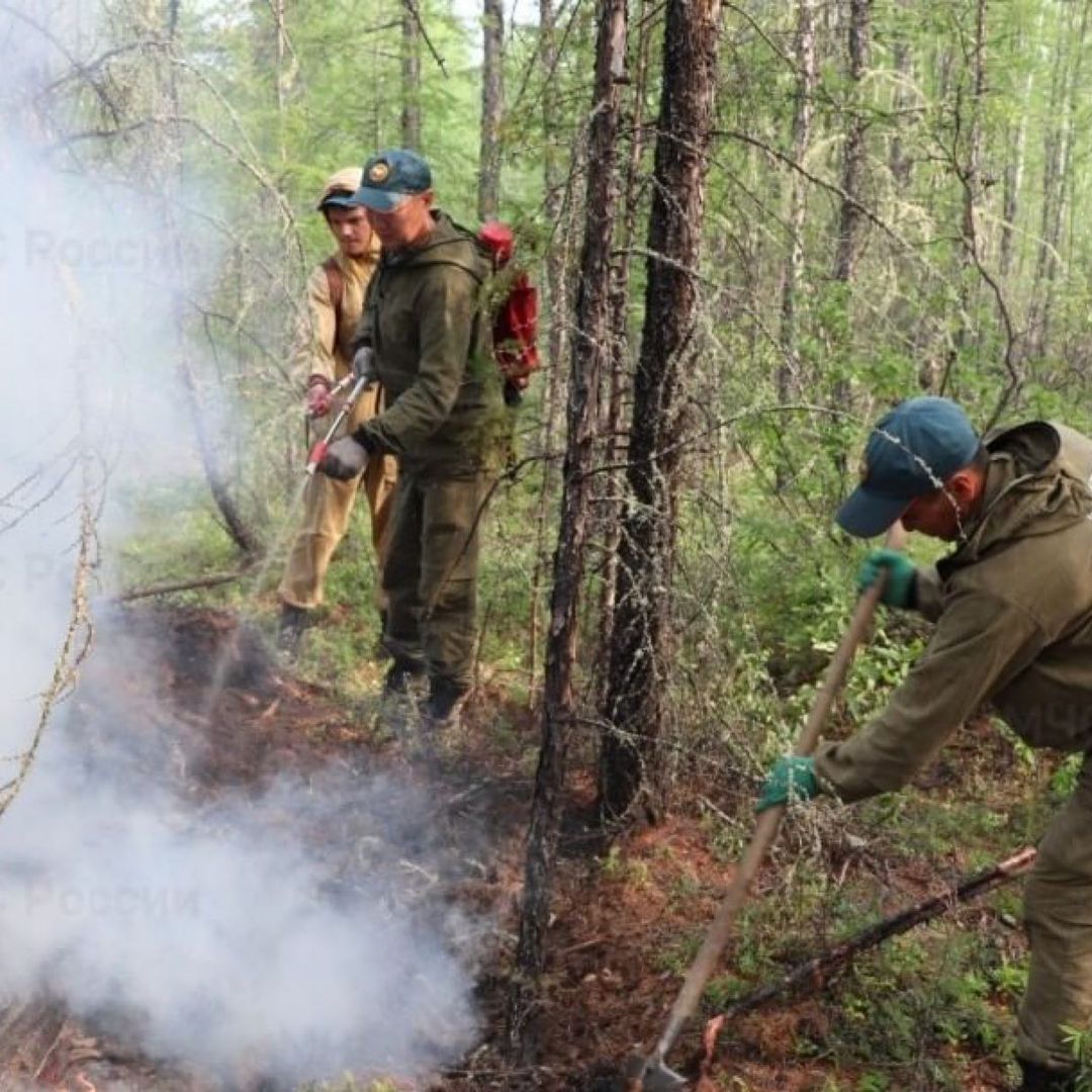 Жителей села Сюльдюкар, живущих около леса, отселят к реке из-за лесного пожара