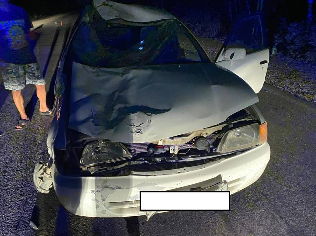 Автомобилистка наехала на лошадь на неосвещенном участке Покровского тракта