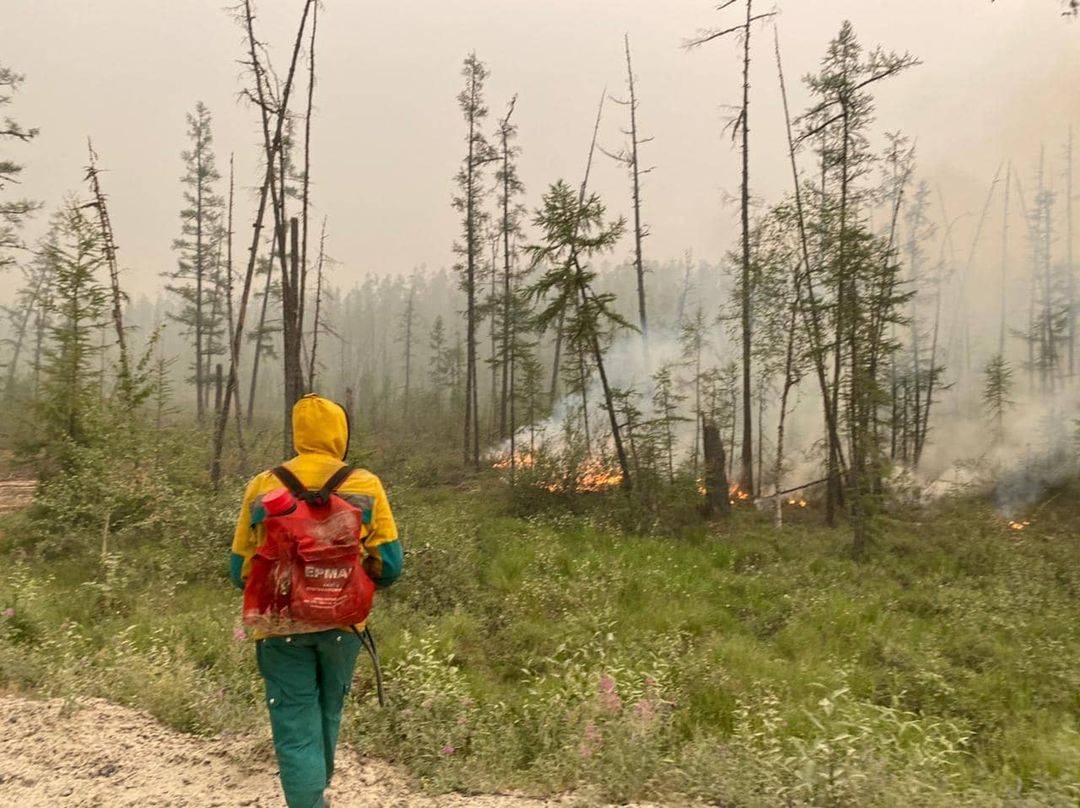 Правительство Якутии мобилизует чиновников на тушение лесных пожаров