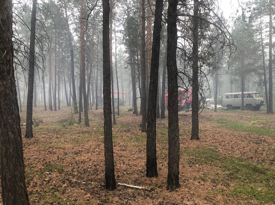 Евгений Григорьев: Лесной пожар возле Якутска локализован!