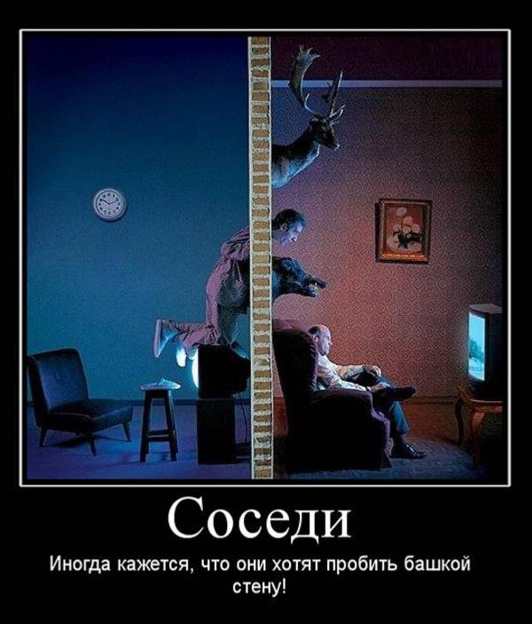 Вечный ремонт, собаки и "металлический монстр".  А у вас хорошие соседи?