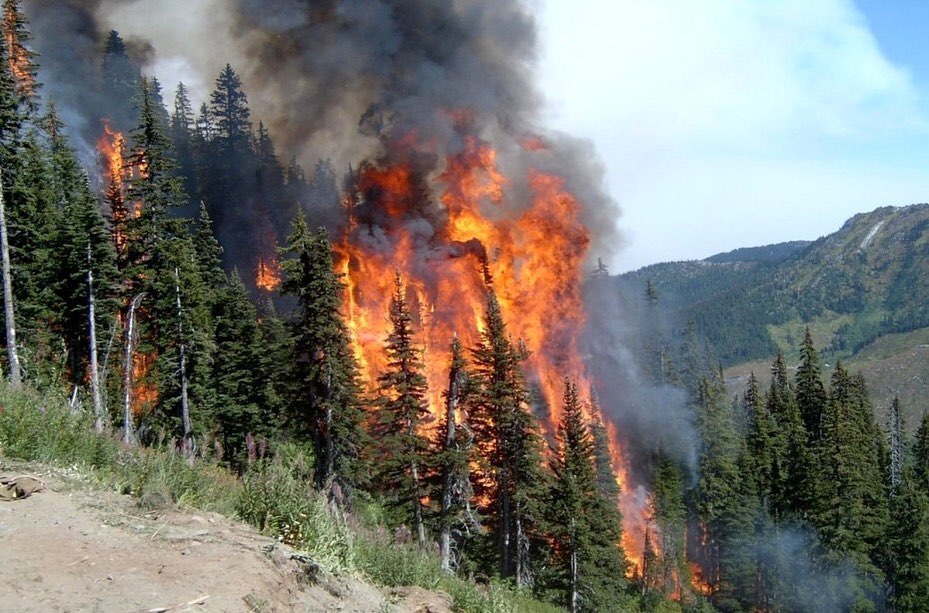 В Якутии действуют 166 лесных пожаров, тушат 60