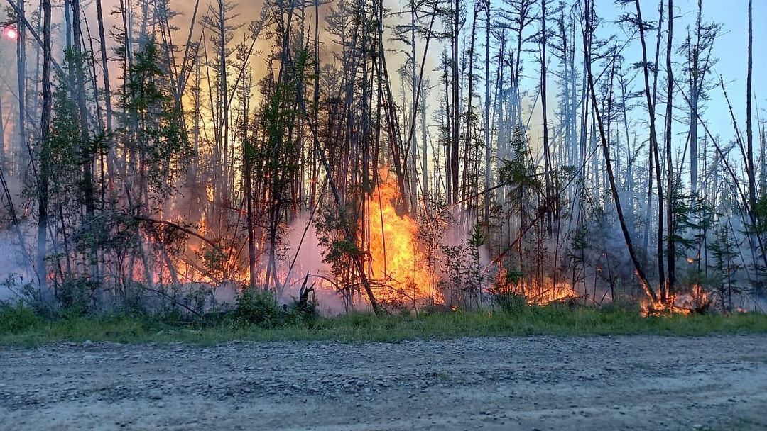 В Томпонском районе мужчину будут судить за сельскохозяйственный пал, вызвавший лесной пожар