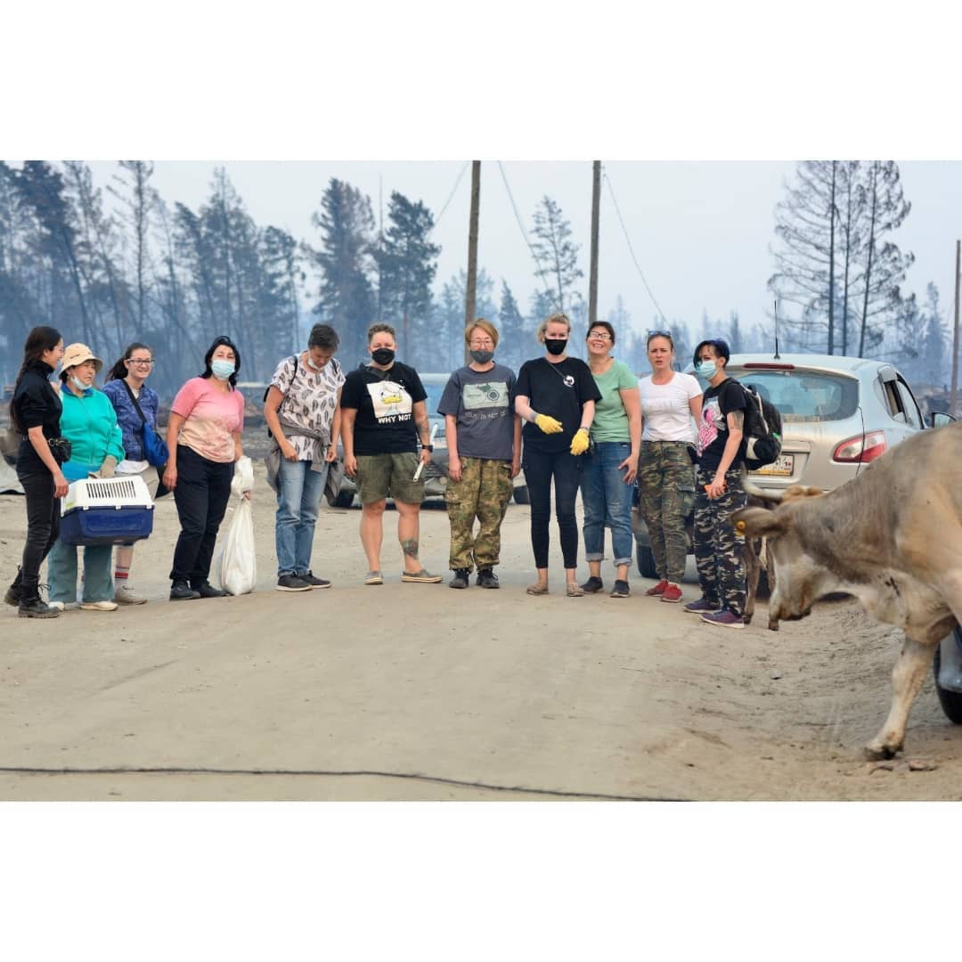 "Мы приехали помочь животным, и увидели, что людям очень необходима помощь". Зоозащитники съездили в Бясь-Кюель