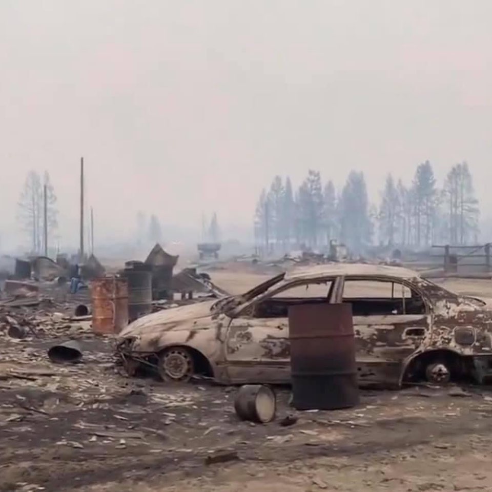 Зоозащитники выехали в Бясь-Кюель для оказания помощи пострадавшим от огня домашним животным