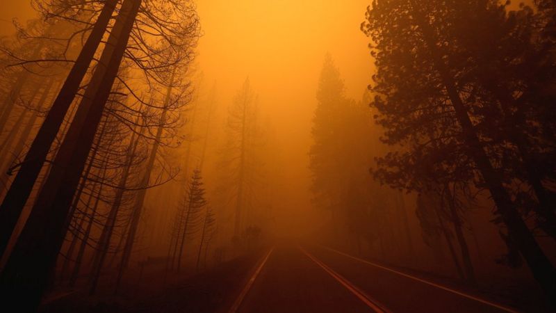 Планета опасно нагревается, виноват - человек. Ученые вынесли приговор, а весь мир подписался под ним