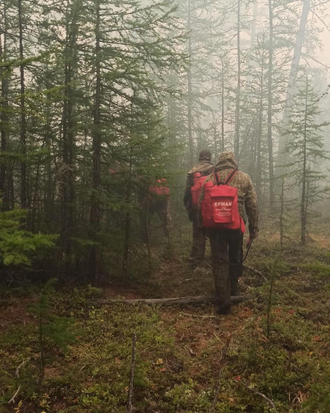 Необходимости в привлечении добровольцев для тушения пожара на границе городского округа нет