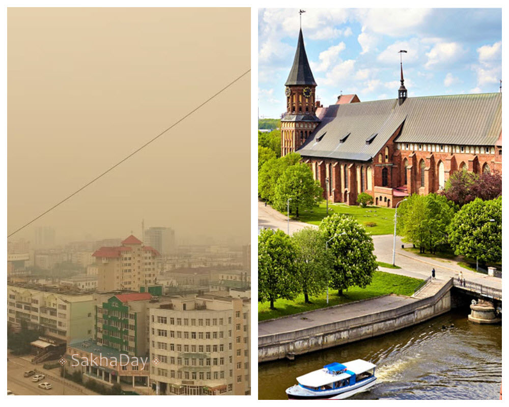 «Дым – как психологический костыль, помогает преодолеть страх нового».  Якутяне задумались о переезде из-за лесных пожаров