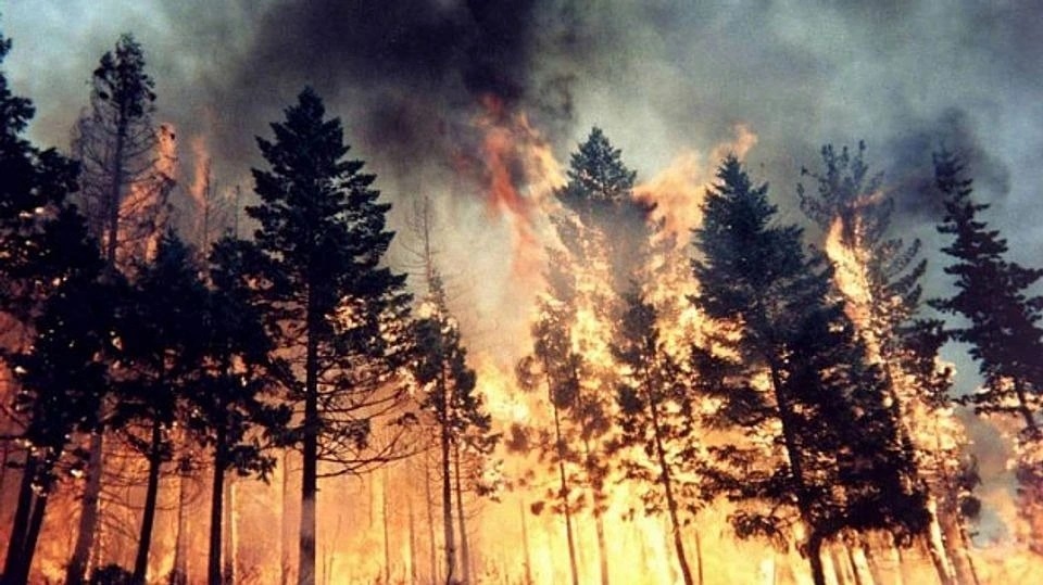 В Якутии тракторист погиб при тушении пожара  в Чурапчинском улусе