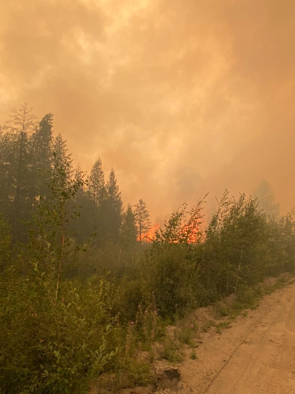 Верховой пожар перерезал дорогу между селами Харбалах и Ытык-Кюель в Таттинском улусе