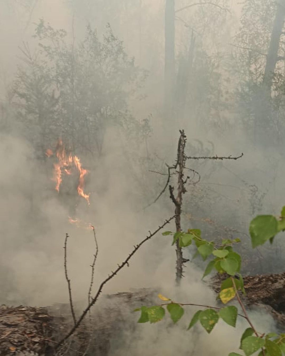 Пожар на границе ГО «Город Якутск», Намского и Горного районов локализован