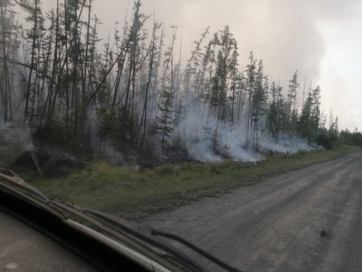 Глава наслега Томпонского района: "Мы уже лес не спасаем, главное спасти села"