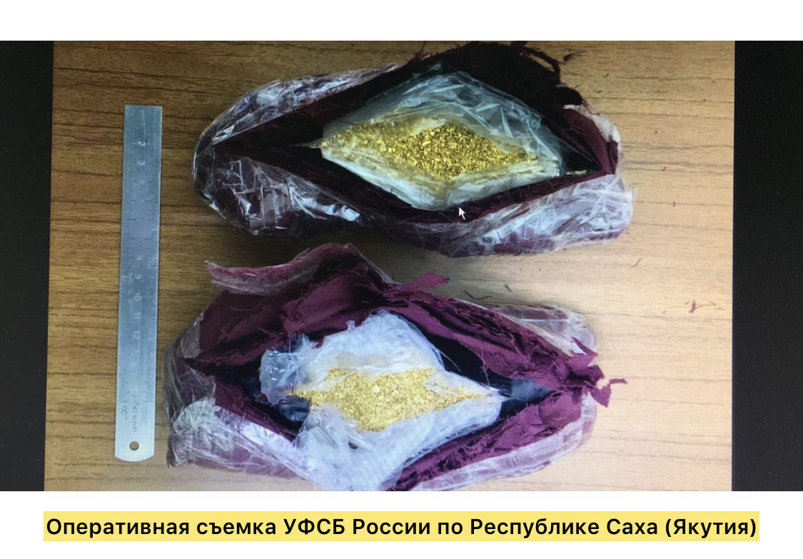 ФСБ: У жительницы Нерюнгри было изъято 6,6 кг рассыпного золота