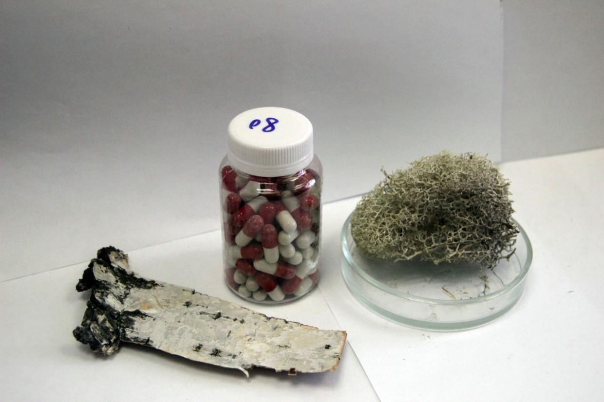 Роспотребнадзор сертифицировал препарат из березы и ягеля для профилактики COVID-19