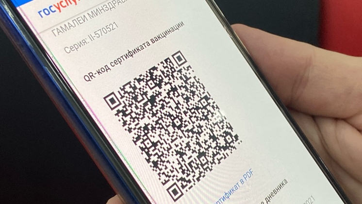 Якутянам пояснили порядок действий при отсутствии QR-кода на Госуслугах
