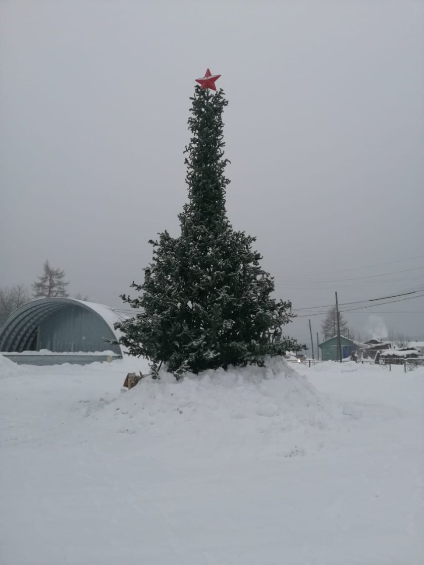 В Якутии поселок украсили елкой в форме пениса