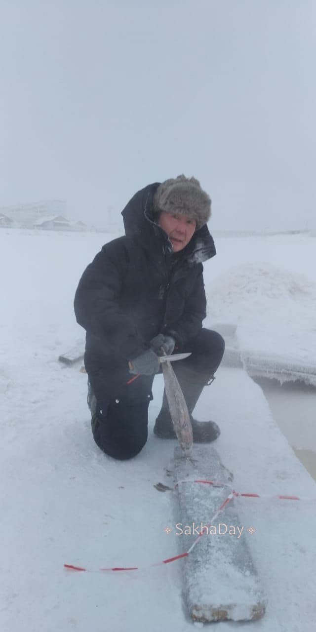 В Якутске моржи искупались при -50 градусах и отведали строганины