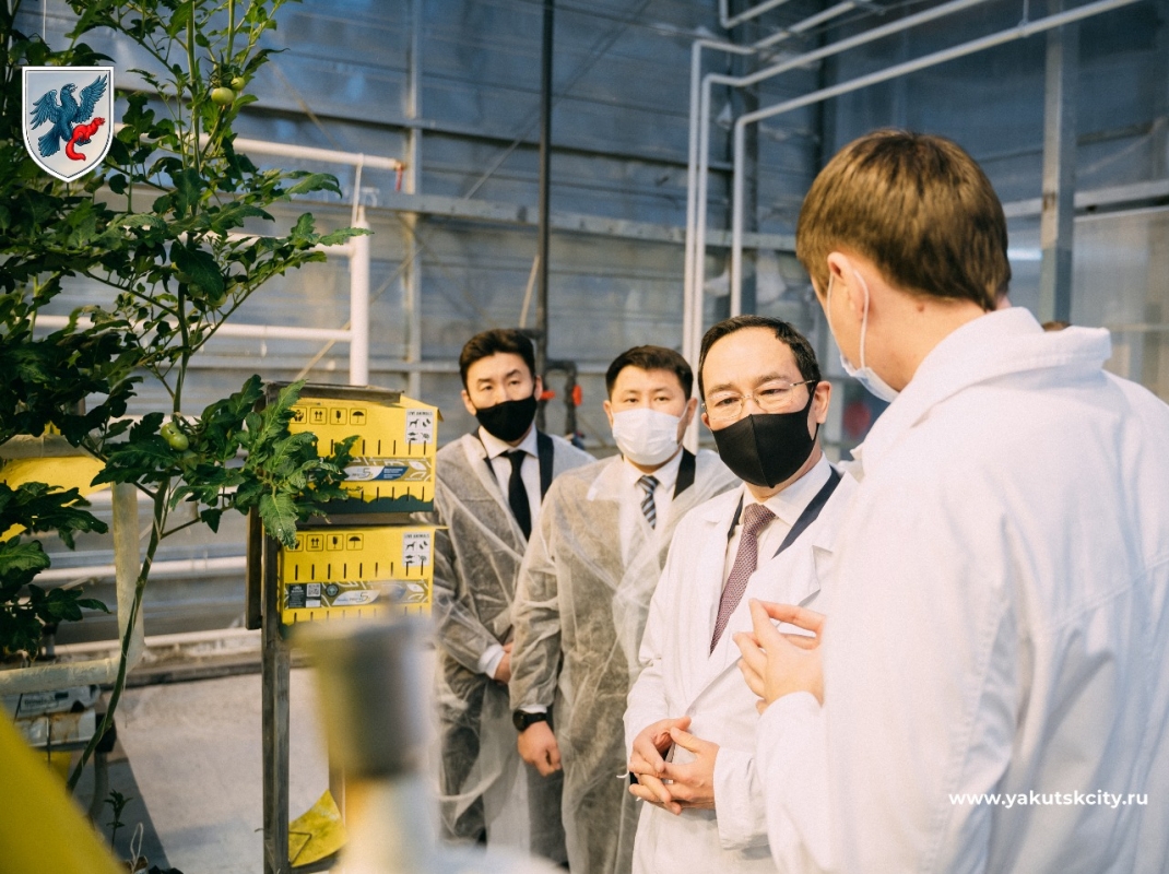 В Якутске торжественно отметили завершение строительства тепличного комплекса «Саюри»
