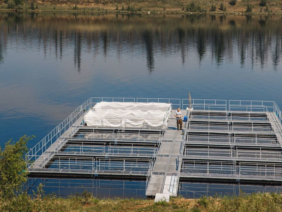 В Якутии планируют выращивать форель и осетров