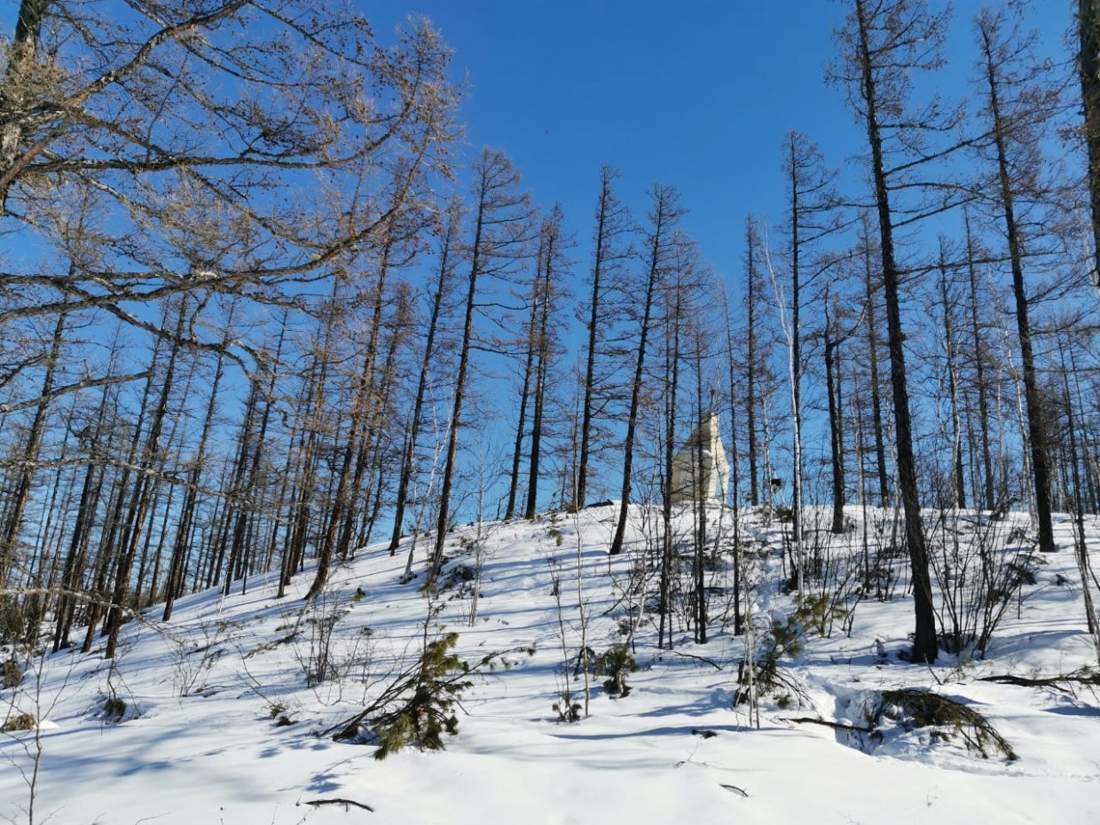 "Город Якутск в кольце врагов, белобандитов и мятежников из местных". Как погиб отряд Белянкина