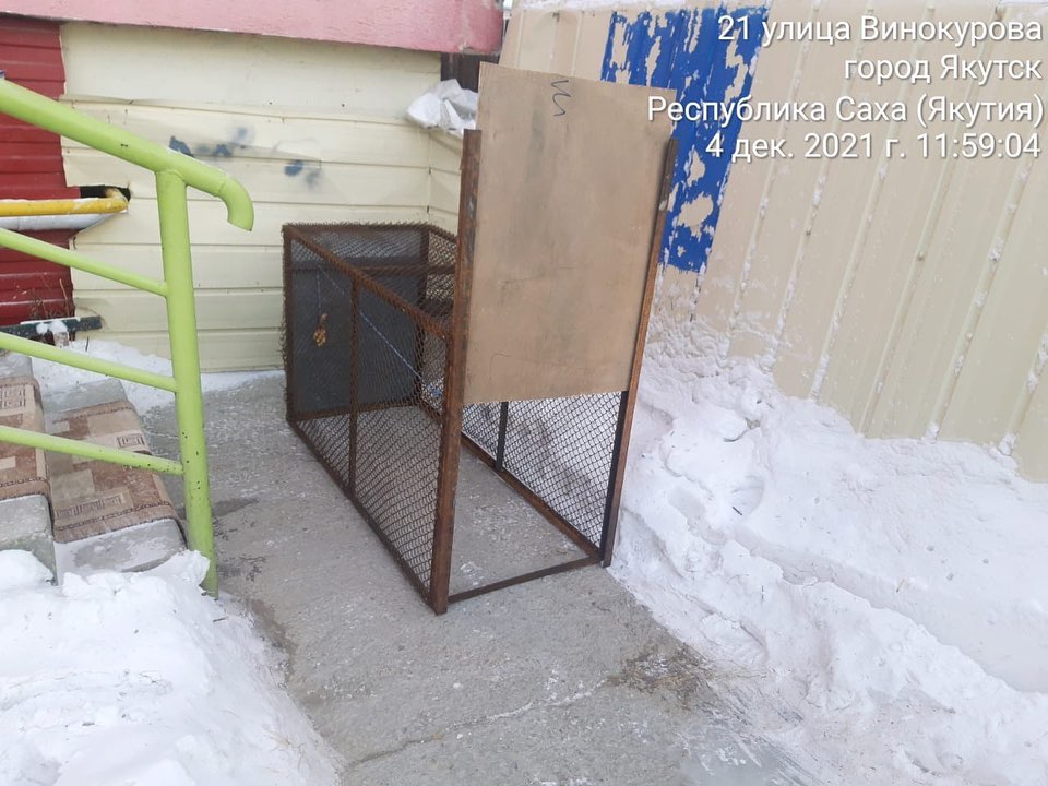 За неделю в Якутке отловлено 112 безнадзорных собак