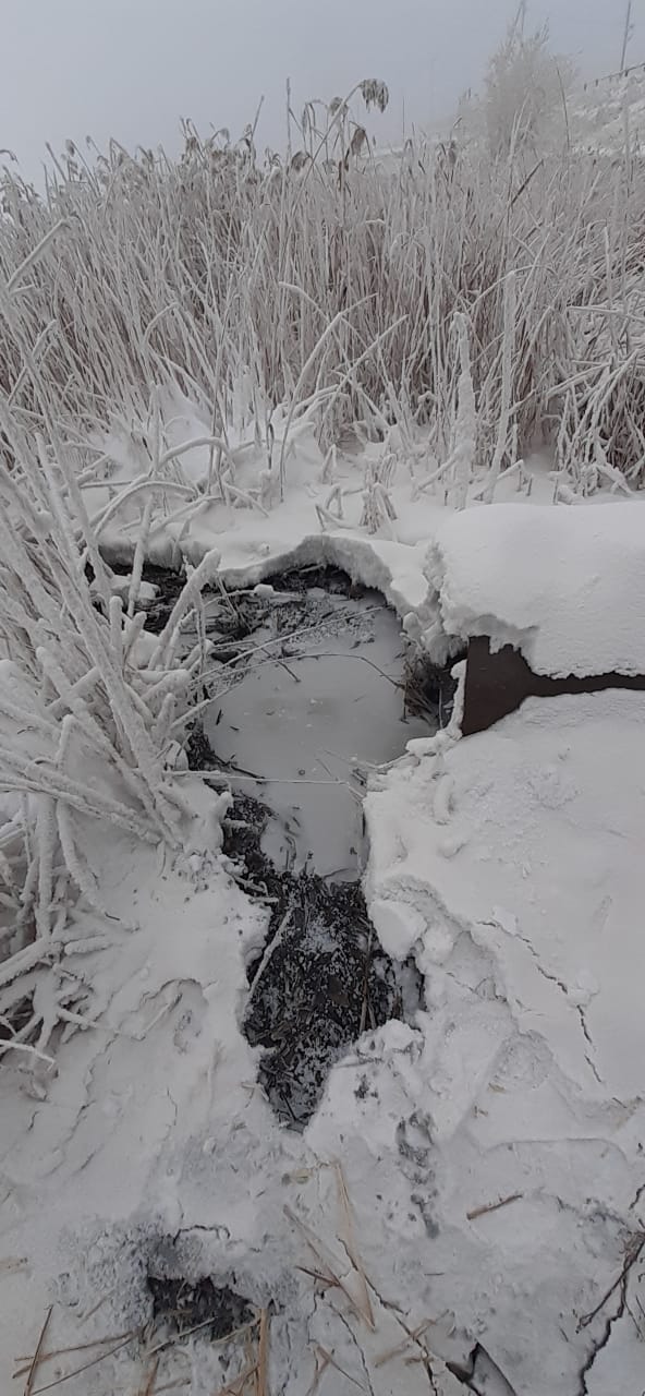 Минэкологии проводит проверку по разливу сточных вод в Сайсарах