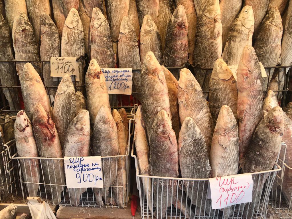 На рынке в Якутске рыба подешевела лишь на 50-100 рублей за килограмм