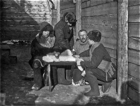 Что делали с собаками в Якутске 115 лет назад.  Регистрация, «чипирование» и налоги