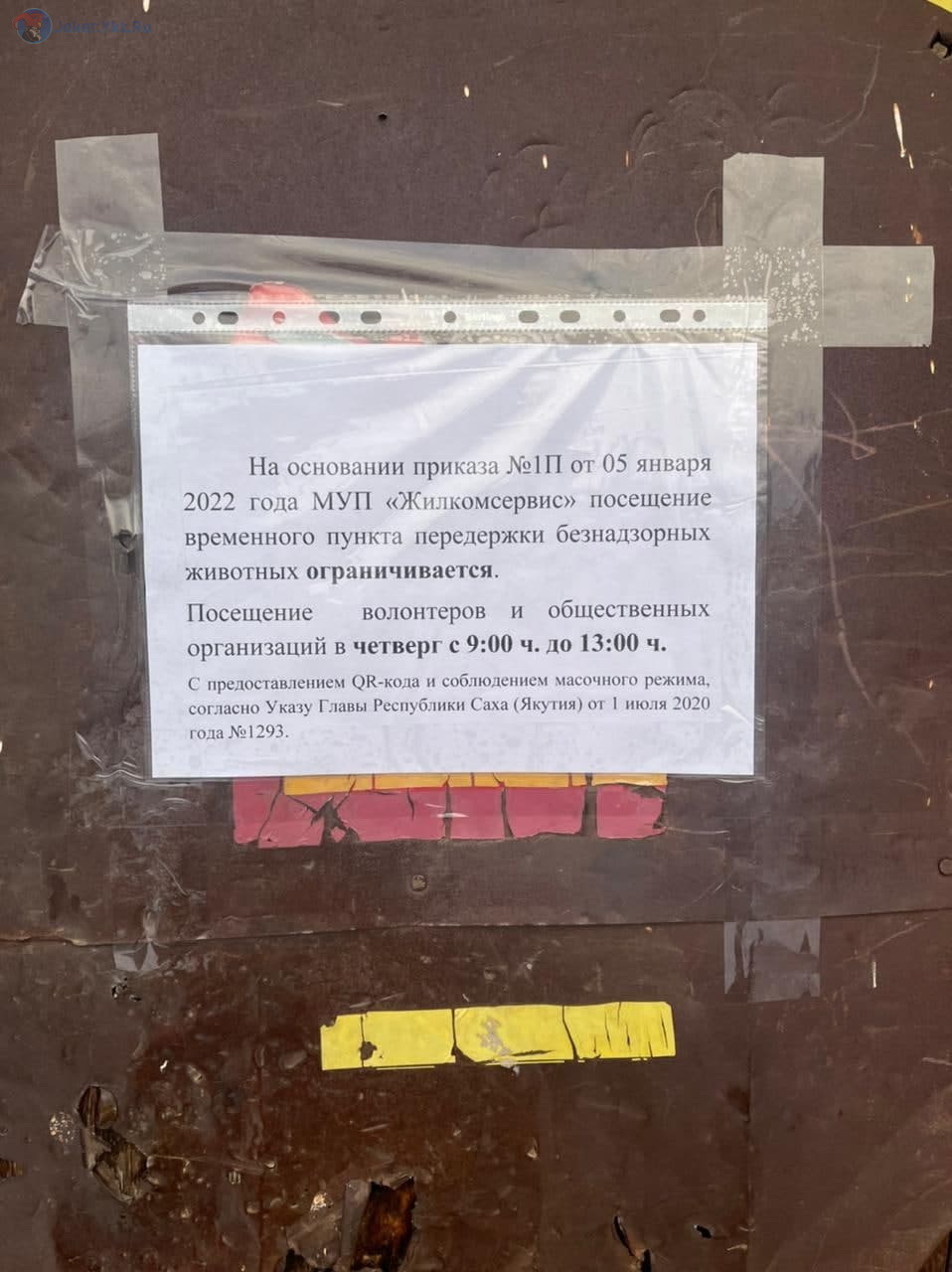 В новом ППЖ Якутска произошел конфликт с зоозащитниками