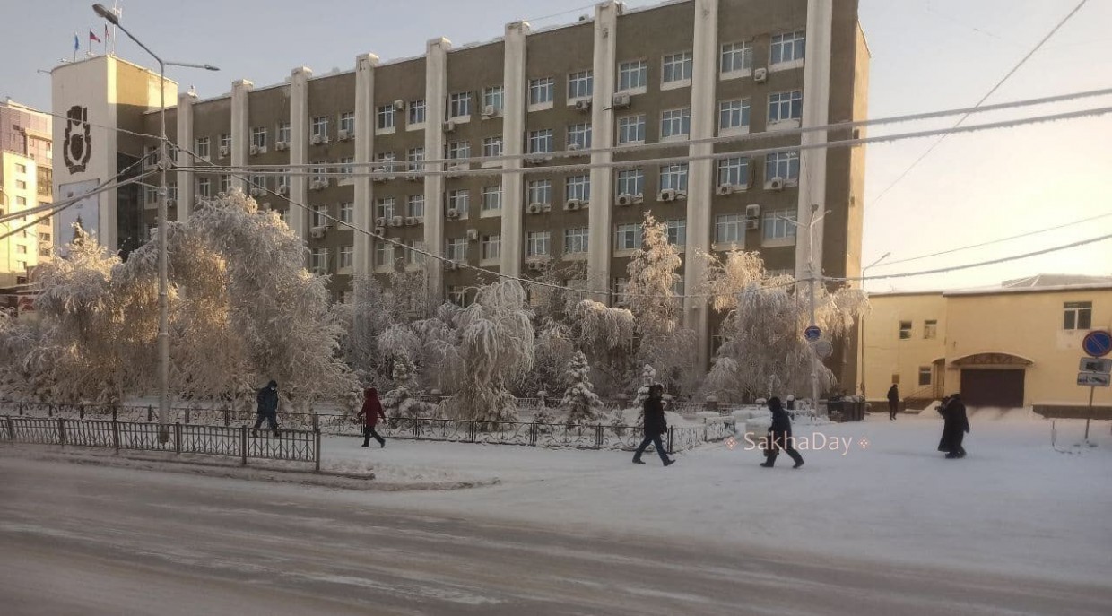 "Если хоть одна собака пострадает...". В мэрию Якутска поступило письмо о "минировании", написанное в защиту собак и зооактивистов