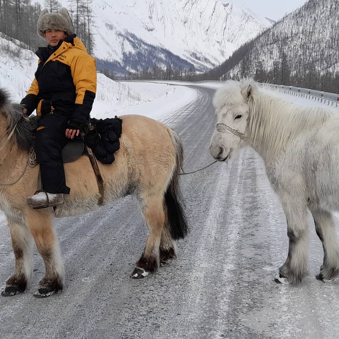Якутских всадников чуть не снес грузовик на иркутской трассе